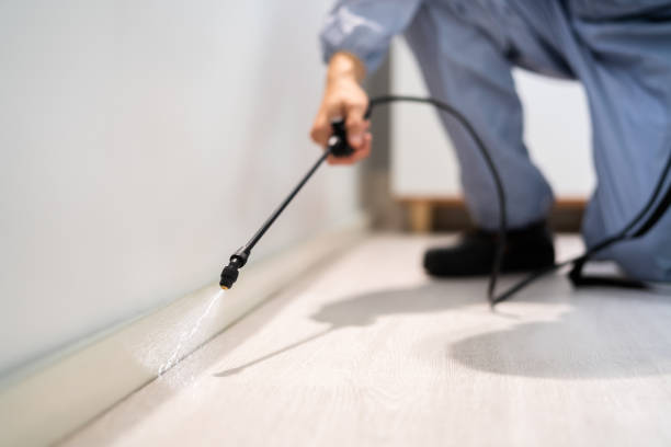 Professional exterminator conducting IPM assessment in Atoka