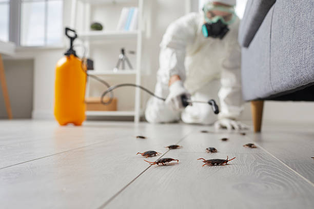 Commercial Rodent Management in Atoka